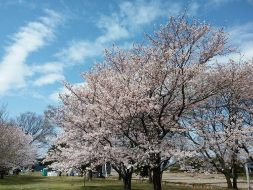 【公園】加須はなさき公園まで690ｍ