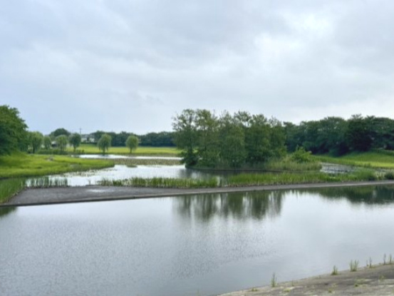 【公園】烏ケ森公園まで1654ｍ