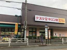 【ドラッグストア】ドラッグストア　キリン堂まで322ｍ