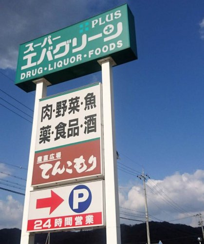 【スーパー】スーパーエバグリーンプラス和歌山北インター店まで1037ｍ