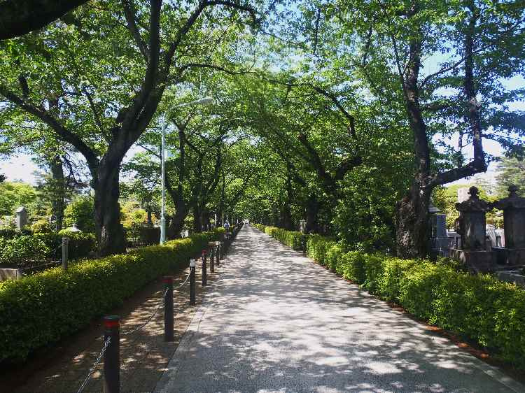 【公園】南青山三丁目緑地まで220ｍ