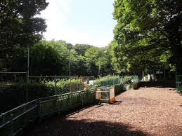 【公園】本門寺公園　ドッグランまで225ｍ