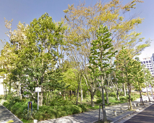 【公園】港区保護樹林まで296ｍ