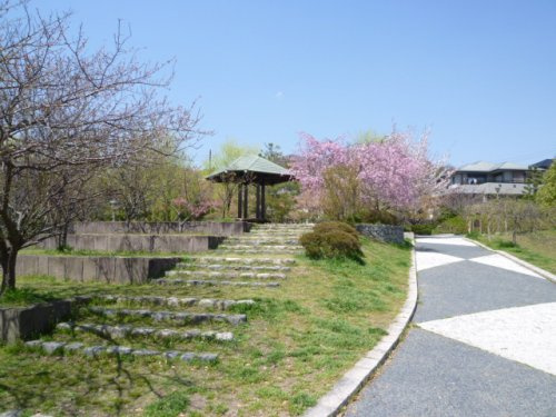 【公園】峰ヶ堂第一公園まで885ｍ