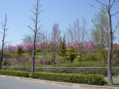 【公園】桂坂公園まで1248ｍ