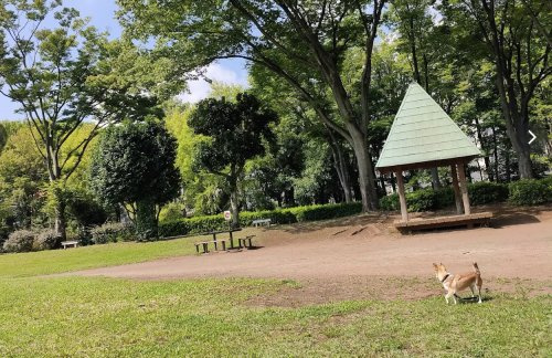 【公園】千代田公園まで751ｍ