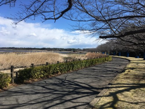 【公園】多々良沼公園まで1640ｍ