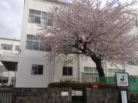 【小学校】大和市立南林間小学校まで168ｍ