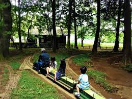 【公園】深谷　川本サングリーンパークまで2256ｍ