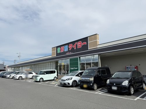 【スーパー】食鮮館タイヨー高松店まで772ｍ