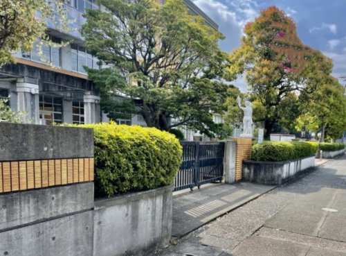 【小学校】沼津市立金岡小学校まで491ｍ