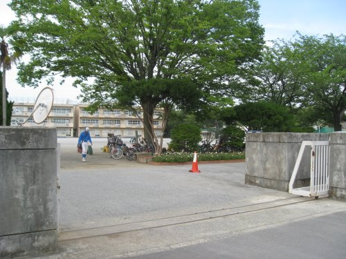 【小学校】柏市立松葉第一小学校まで361ｍ