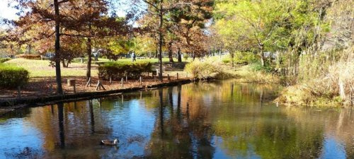 【公園】新川丸池公園まで1421ｍ