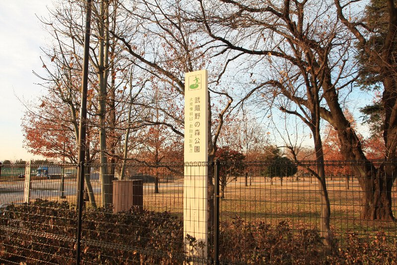 【公園】武蔵の森公園まで1032ｍ