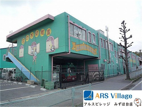 【幼稚園】朝霞花の木幼稚園まで1116ｍ