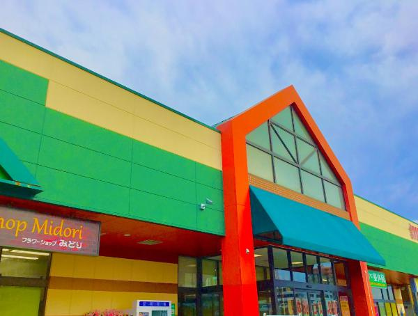 【スーパー】マルト　SC城東店まで1255ｍ