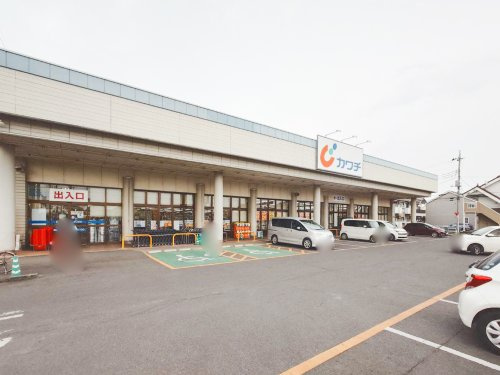 【ドラッグストア】カワチ薬品　小山東店まで1289ｍ