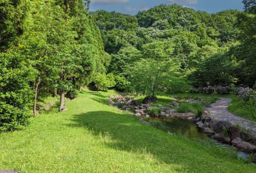 【公園】市民の森浮橋まで13563ｍ