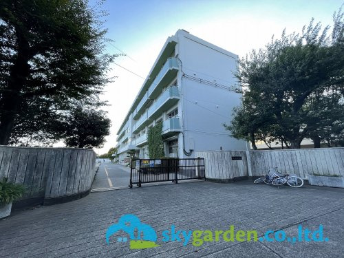 【小学校】藤沢市立大清水小学校まで851ｍ