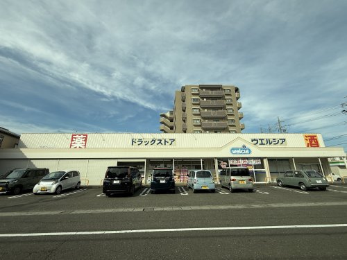 【ドラッグストア】ウエルシア静岡唐瀬店まで389ｍ