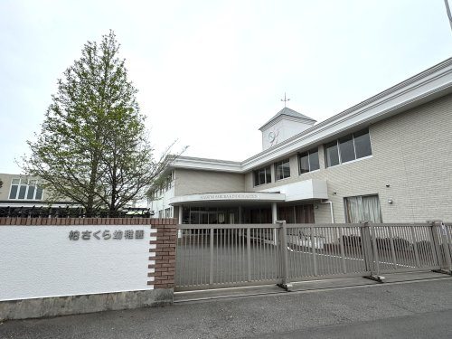 【幼稚園】柏さくら幼稚園まで260ｍ