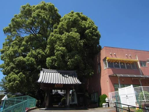 【保育園】白帝保育園まで788ｍ