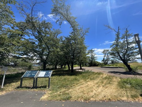 【公園】見沼公園まで786ｍ