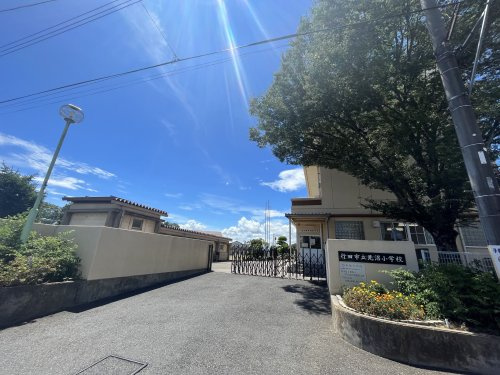 【小学校】見沼小学校まで1175ｍ
