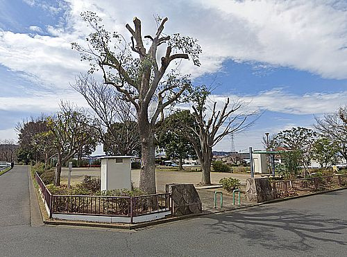 【公園】立堀親水公園まで1345ｍ