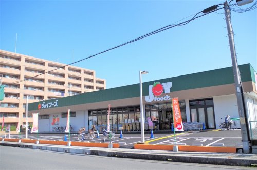 【スーパー】Joy　Foods(ジョイフーズ)　越谷登戸店まで800ｍ