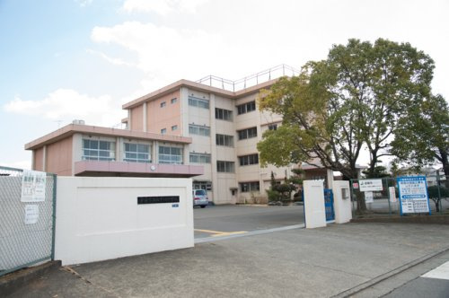 【小学校】平塚市立みずほ小学校まで384ｍ