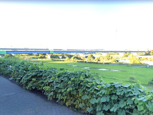 【公園】戸沢橋スポーツ広場まで1463ｍ