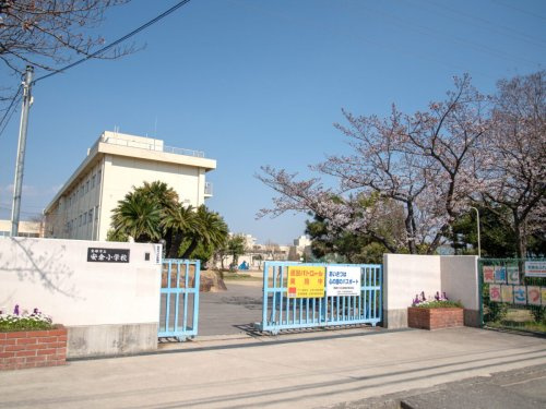 【小学校】安倉小学校まで856ｍ
