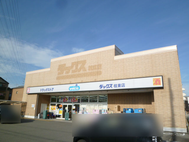 【ドラッグストア】ダックス桂東店まで410ｍ