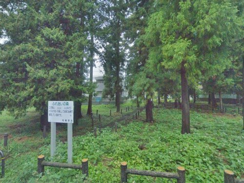【公園】東林間1丁目ふれあいの森まで239ｍ