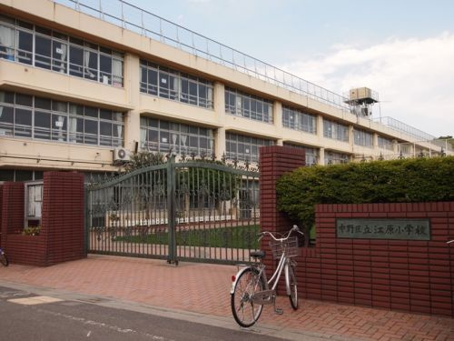 【小学校】中野区立江原小学校まで560ｍ