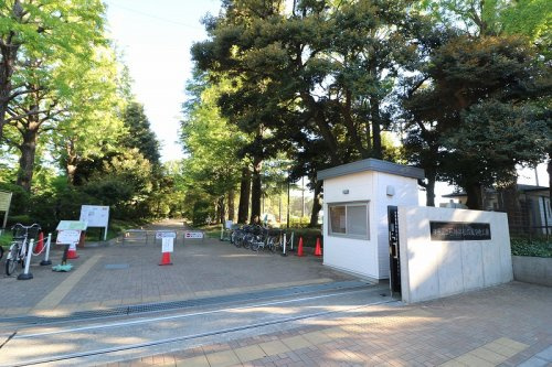 【公園】練馬区立石神井松の風文化公園まで1210ｍ