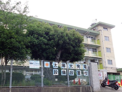 【小学校】北九州市立千代小学校まで1281ｍ