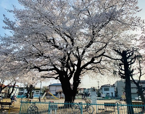 【公園】藤原町第一公園まで226ｍ