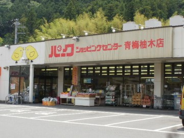 【スーパー】パークショッピングセンター　青梅柚木店まで2870ｍ