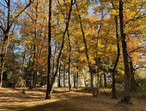 【公園】市民の森第7号まで903ｍ