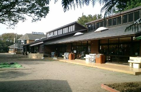 【幼稚園】八幡幼稚園まで866ｍ