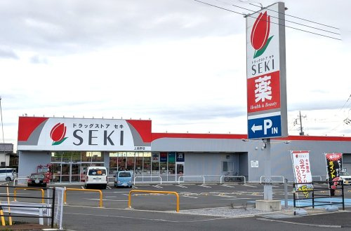 【ドラッグストア】ドラッグストア　セキ　上高野店まで442ｍ