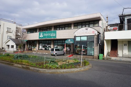 【スーパー】城山ストアー城山店まで1209ｍ