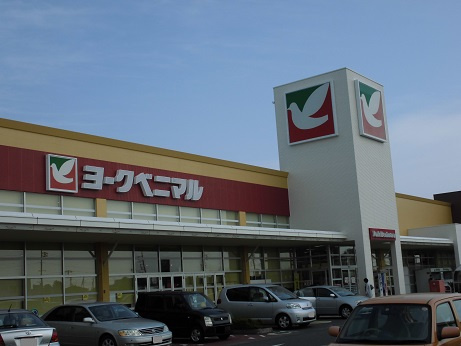 【スーパー】ヨークベニマルひたちなか店まで1001ｍ