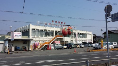 【スーパー】サンプラザ土佐ショッピング店まで215ｍ