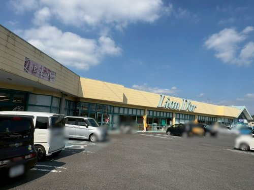 【スーパー】リオン・ドール高根沢店まで1457ｍ