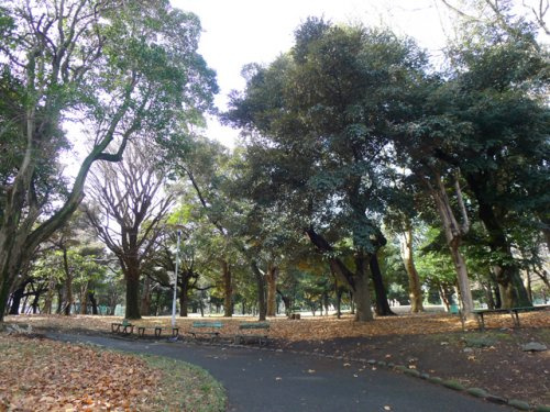 【公園】北区立中央公園まで933ｍ