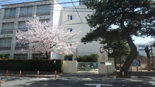 【中学校】御影中学校まで587ｍ