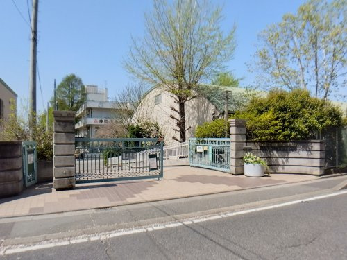 【小学校】さいたま市立仲町小学校まで837ｍ